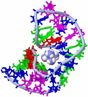 Image NMR Structure - model 1