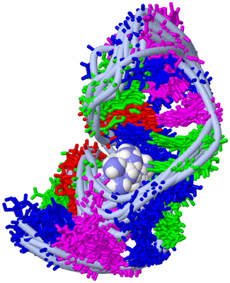 Image NMR Structure - all models