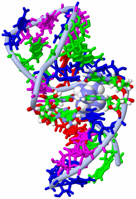 Image NMR Structure - model 1, sites