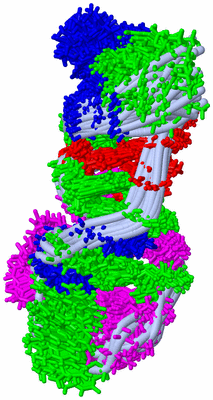 Image NMR Structure - all models