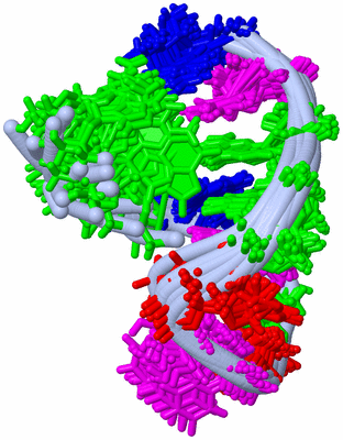 Image NMR Structure - all models