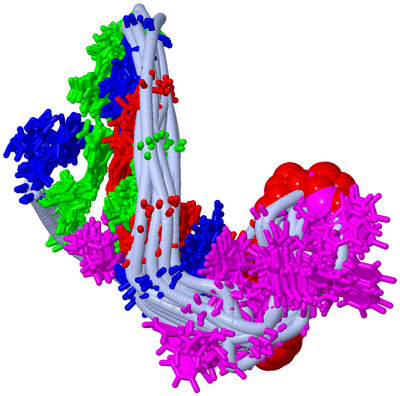 Image NMR Structure - all models