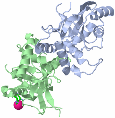 Image Biol. Unit 1 - sites