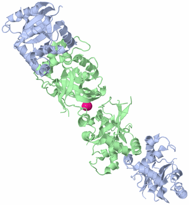 Image Biological Unit 2