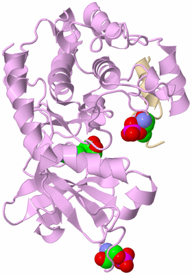 Image Asym./Biol. Unit