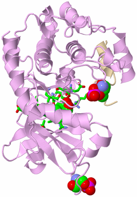 Image Asym./Biol. Unit - sites