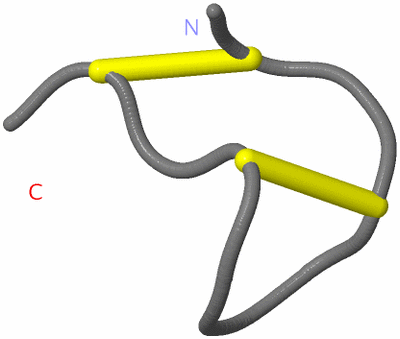 Image NMR Structure - model 1