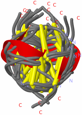 Image NMR Structure - all models