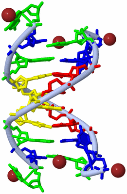 Image Biological Unit 1