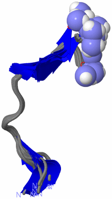 Image NMR Structure - all models