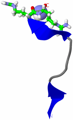 Image NMR Structure - model 1, sites