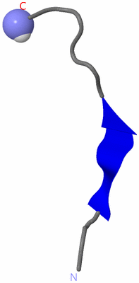 Image NMR Structure - model 1