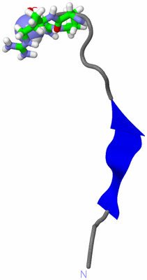 Image NMR Structure - model 1, sites