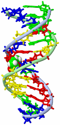 Image NMR Structure - model 1