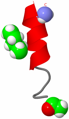 Image NMR Structure - model 1