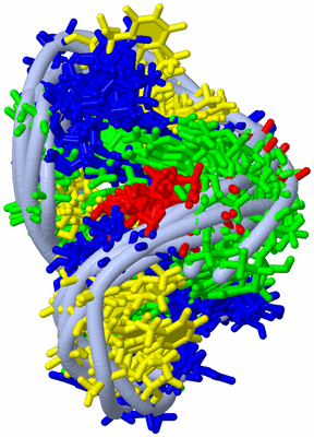 Image NMR Structure - all models