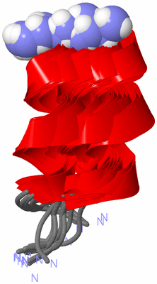 Image NMR Structure - all models