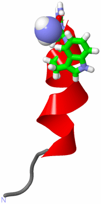 Image NMR Structure - model 1, sites