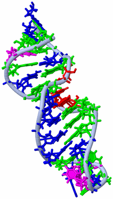 Image NMR Structure - model 1