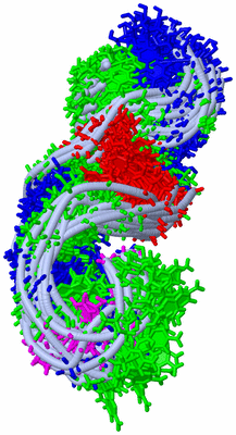 Image NMR Structure - all models