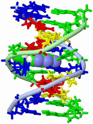 Image NMR Structure - model 1