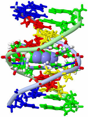 Image NMR Structure - model 1, sites