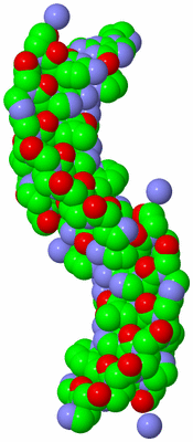 Image Asymmetric Unit