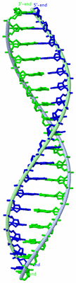 Image Theoretical Model