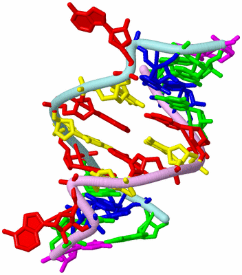 Image Biological Unit 3