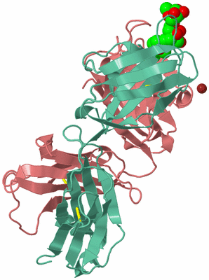 Image Biological Unit 1