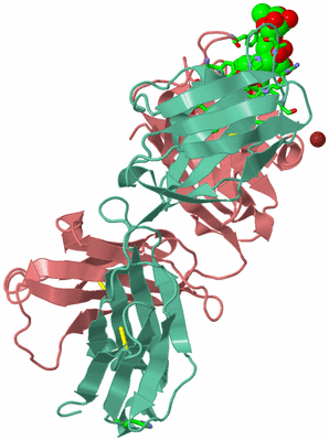 Image Biol. Unit 1 - sites