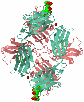 Image Biological Unit 2