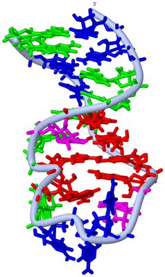 Image NMR Structure - model 1