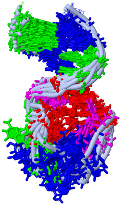 Image NMR Structure - all models