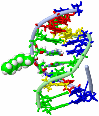 Image NMR Structure - model 1, sites