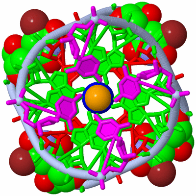 Image Biological Unit 1