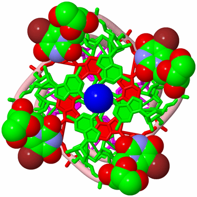 Image Biological Unit 3