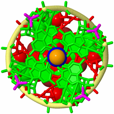 Image Biological Unit 4