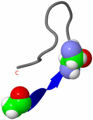 Image NMR Structure - model 1