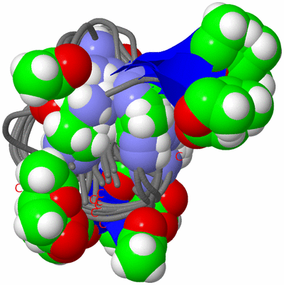 Image NMR Structure - all models