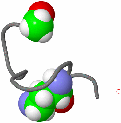 Image NMR Structure - model 1