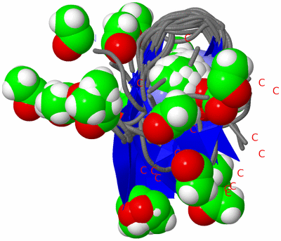 Image NMR Structure - all models