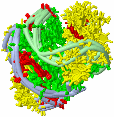 Image NMR Structure - all models