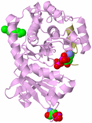 Image Asym./Biol. Unit