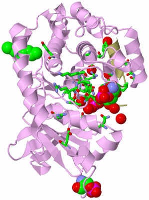 Image Asym./Biol. Unit - sites