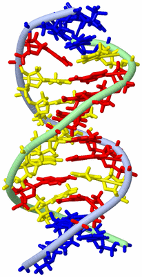 Image NMR Structure - model 1