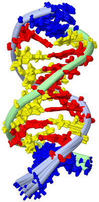 Image NMR Structure - all models