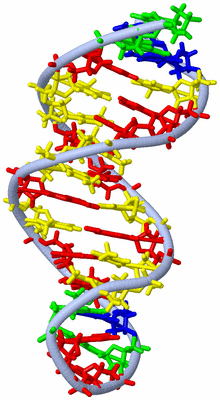 Image NMR Structure - model 1