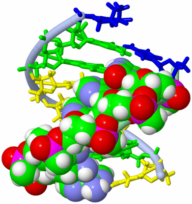 Image NMR Structure - all models