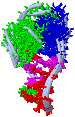 Image NMR Structure - all models